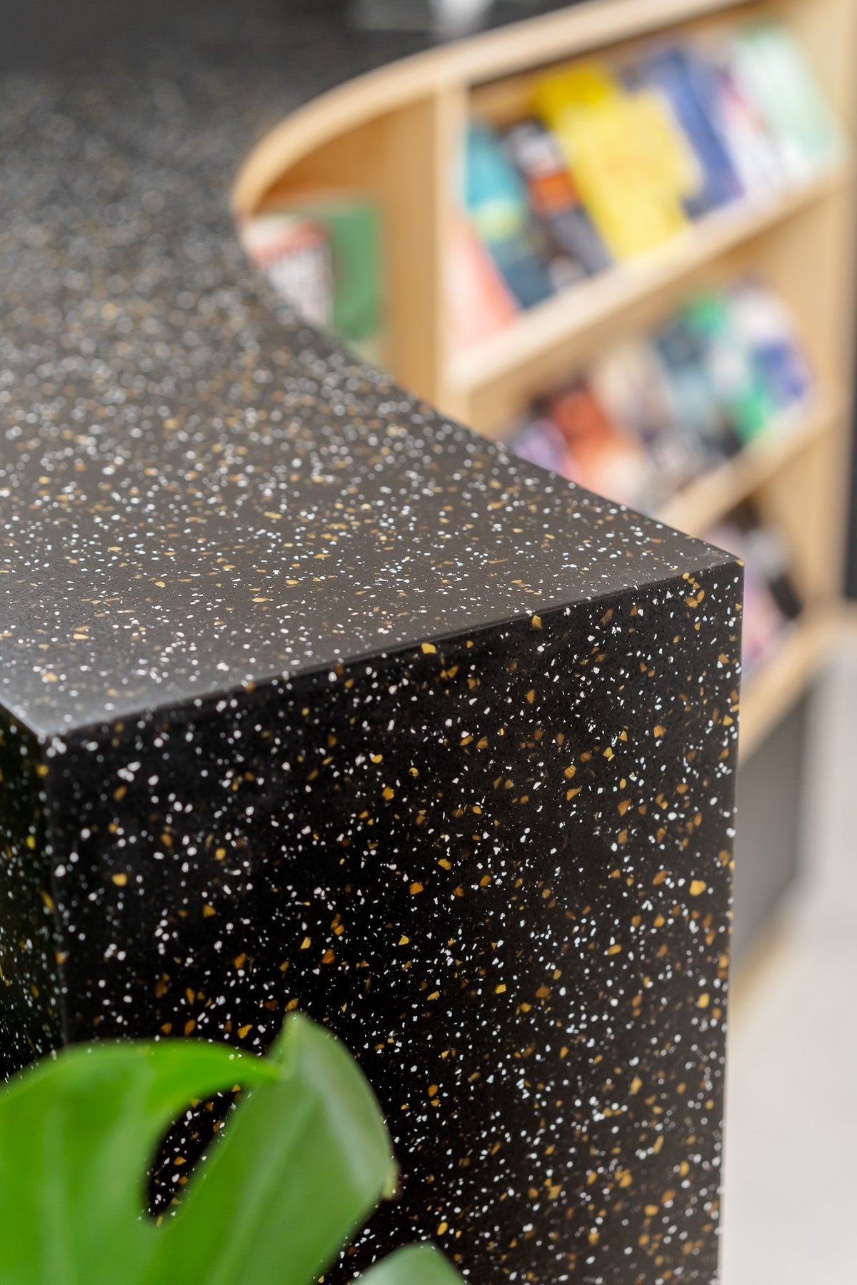 DP006 Black Velvet
